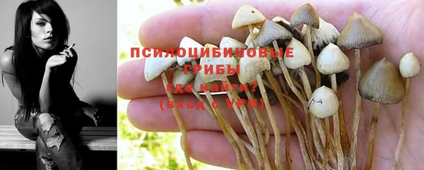 не бодяженный Куйбышев