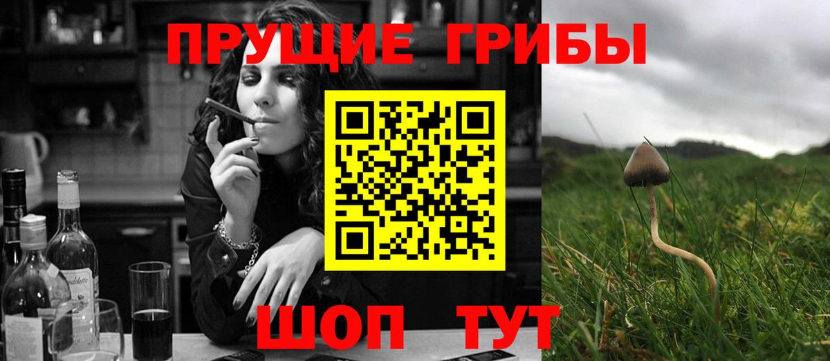 Псилоцибиновые грибы Cubensis Узловая